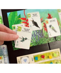 8721184284353 4.jpg 999 Games Wingspan Uitbreiding Midden- en Zuid-Amerika