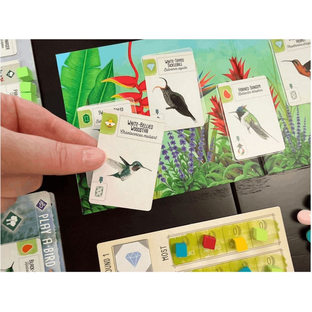 8721184284353 4.jpg 999 Games Wingspan Uitbreiding Midden- en Zuid-Amerika