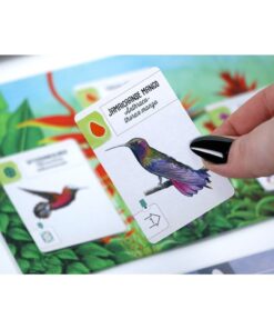 8721184284353 6.jpg 999 Games Wingspan Uitbreiding Midden- en Zuid-Amerika